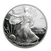Image 2 : 2000-P Proof Silver American Eagle PF-70 NGC