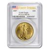 Image 1 : 2007 1 oz Gold American Eagle MS-70 PCGS (FS)