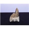 Image 2 : Inuit Soapstone Carving