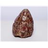 Image 1 : Fossilized Dinosaur Excrement