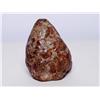 Image 2 : Fossilized Dinosaur Excrement