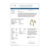 Image 4 : 4.2 ctw Mix Cut Diamonds Designer Earrings 18K Yellow Gold - REF-723M3G