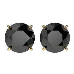 3 ctw Fancy Black Diamond Solitaire Stud Earrings 10k Yellow Gold - REF-60Y3X