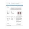 Image 4 : 12.57 ctw Tanzanite & Diamond Earrings 18K Rose Gold - REF-703M6G