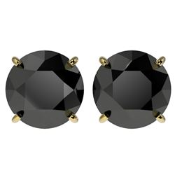 4 ctw Fancy Black Diamond Solitaire Stud Earrings 10k Yellow Gold - REF-68G8W