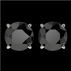 3 ctw Fancy Black Diamond Solitaire Stud Earrings 10k White Gold - REF-60G3W