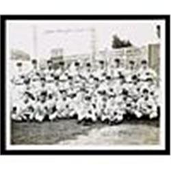 1944 Washington Senators Team Signed Photo (JSA)