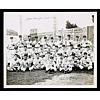 Image 1 : 1944 Washington Senators Team Signed Photo (JSA)