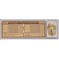 1916 Scorecard w/ Babe Ruth & Walter Johnson And Real Photo Postcard w/ Babe Ruth