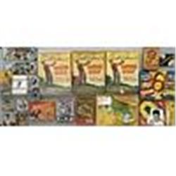 Lot of Vintage Multi-Sport Games (10)