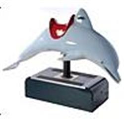 Circa 1950s Vintage Children's Mechanical Dolphin Ride