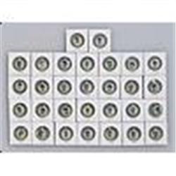 1938 PM8 Our National Game Pins Complete Set (30)