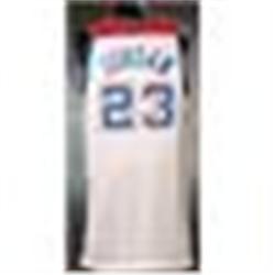 2002-03 Michael Jordan Washington Bullets Game-Used Throwback Jersey