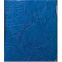 Paine Stewart Personally Owned & Autographed Golf Bag (JSA)