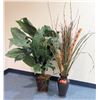 Image 1 : Qty 2 Tall Artificial Plants