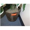 Image 3 : Potted Tall Leafy Artificial Plant