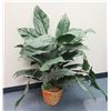 Image 1 : Potted Tall Leafy Artificial Plant