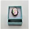 Image 1 : 18)  PALE PINK & GREEN PEACOCK ABALONE