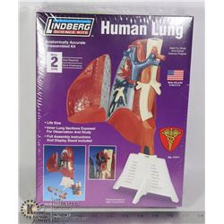 NEW HUMAN LUNG SCIENCE MODEL KIT