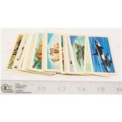 SET OF 48 RED ROSE TEA CARDS SERIES TWO