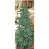 Image 1 : 6FT CHRISTMAS TREE WITH LIGHT