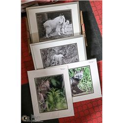 LOT OF 4 D.ELSASSER WILDLIFE PRINTS