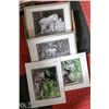 Image 1 : LOT OF 4 D.ELSASSER WILDLIFE PRINTS