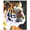 Image 1 : "Patience" Limited Edition Giclee on Canvas by Stephen Fishwick, Numbered and Si
