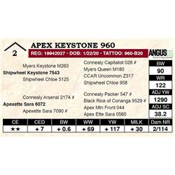 Apex Keystone 960