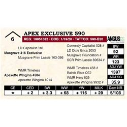 Apex Exclusive 590