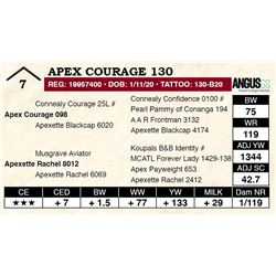 Apex Courage 130