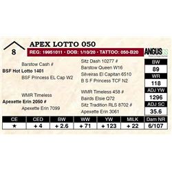 Apex Lotto 050