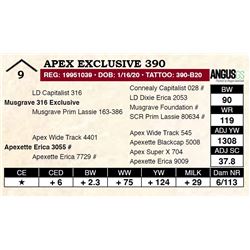 Apex Exclusive 390