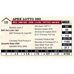 Apex Lotto 080