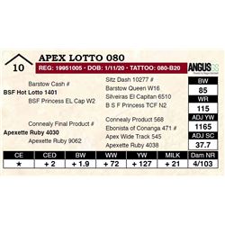 Apex Lotto 080