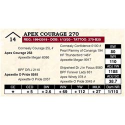 Apex Courage 270