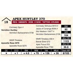 Apex Huntley 370