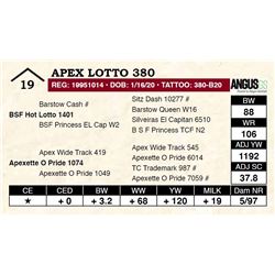 Apex Lotto 380