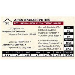 Apex Exclusive 450