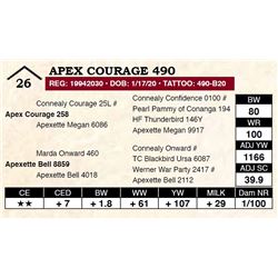 Apex Courage 490