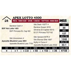 Apex Lotto 4500