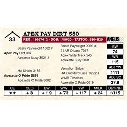 Apex Pay Dirt 580