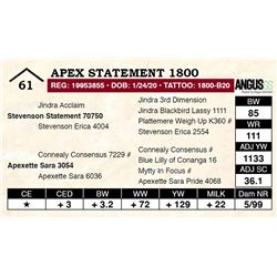 Apex Statement 1800