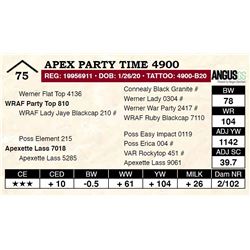 Apex Party Time 4900