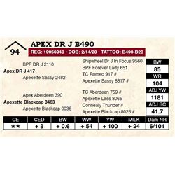 Apex DR J B490