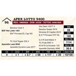Apex Lotto 9400