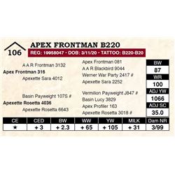 Apex Frontman B220