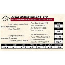 Apex Achievement 170