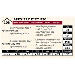 Apex Pay Dirt 320