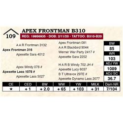 Apex Frontman B310
